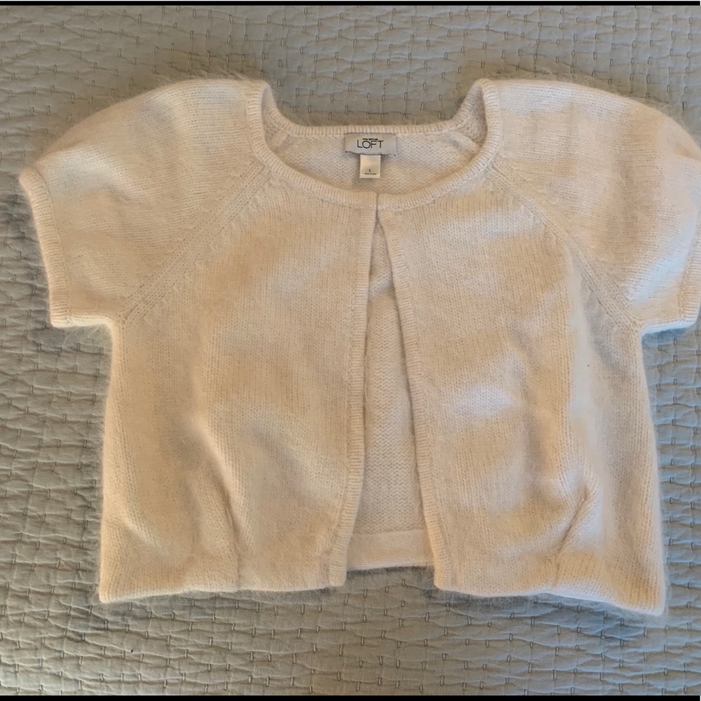 Softest Sweater Ever! AT Loft Lg